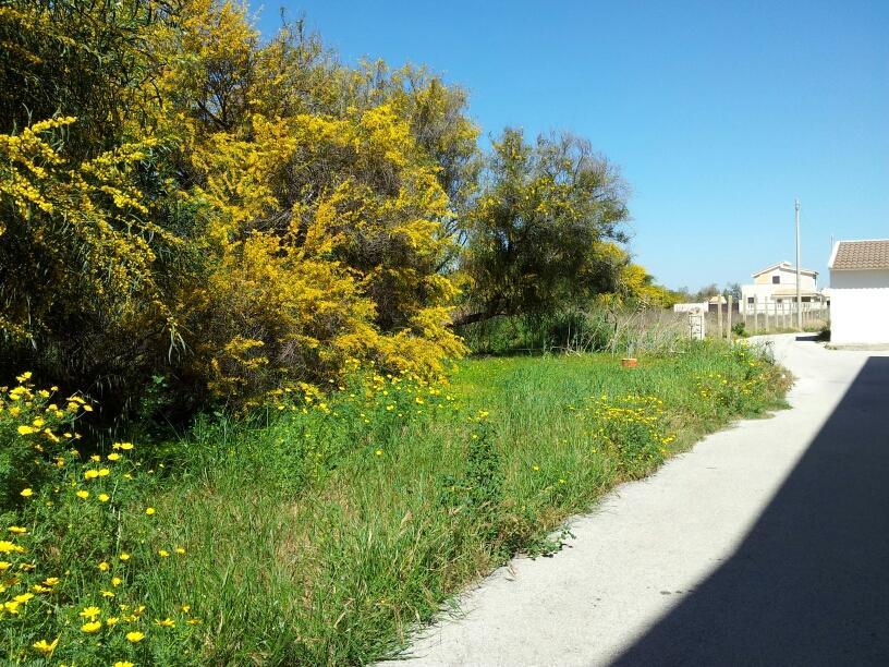 Casa Viale Lido Villa Marzamemi Esterno foto